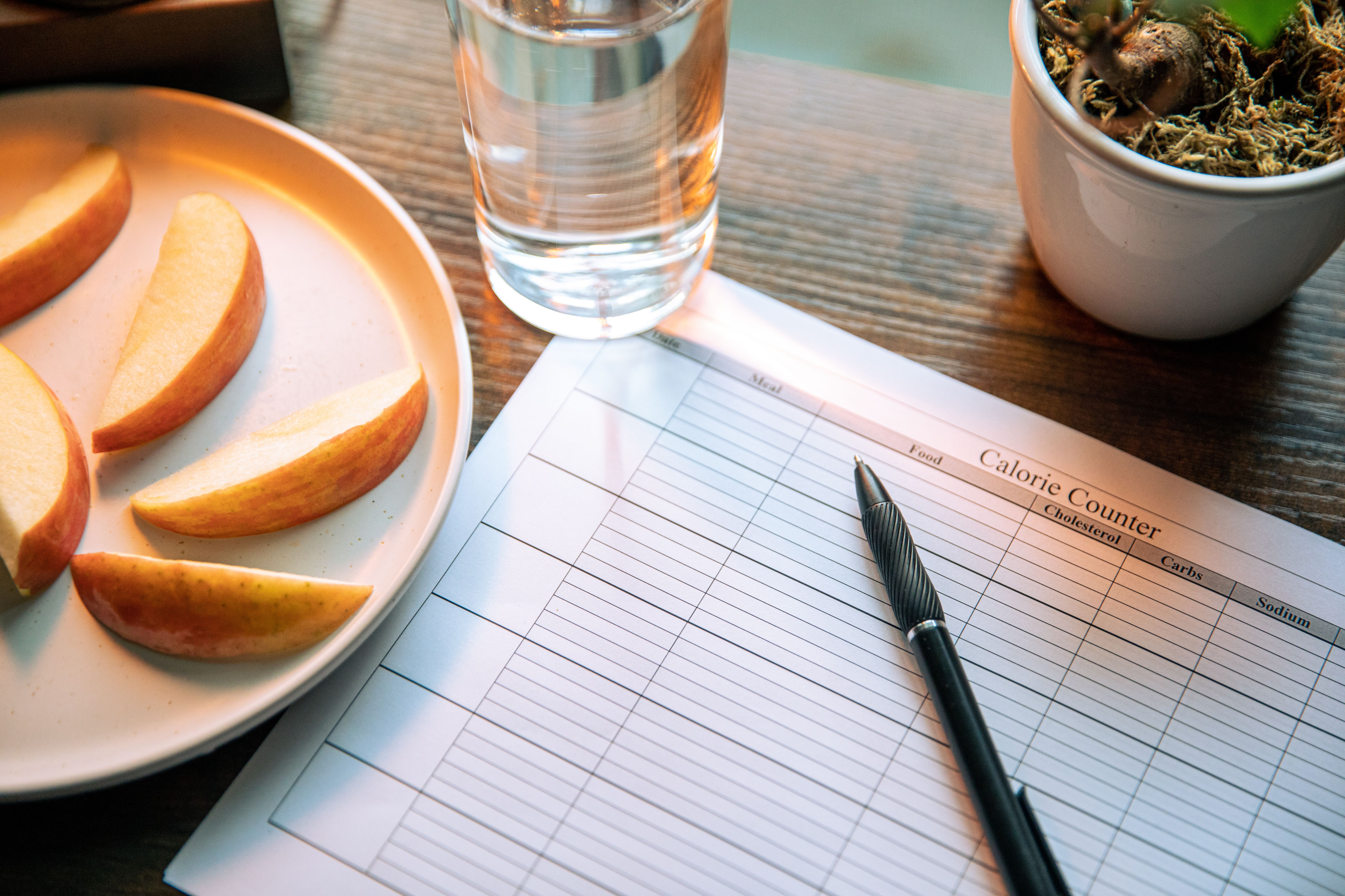 12-Week Nutrition Journey - Building Lasting Eating Habits