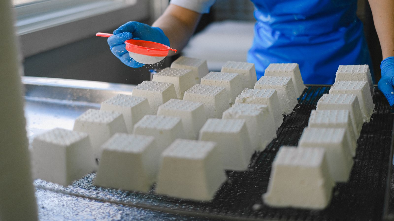 Cheese Making Workshop