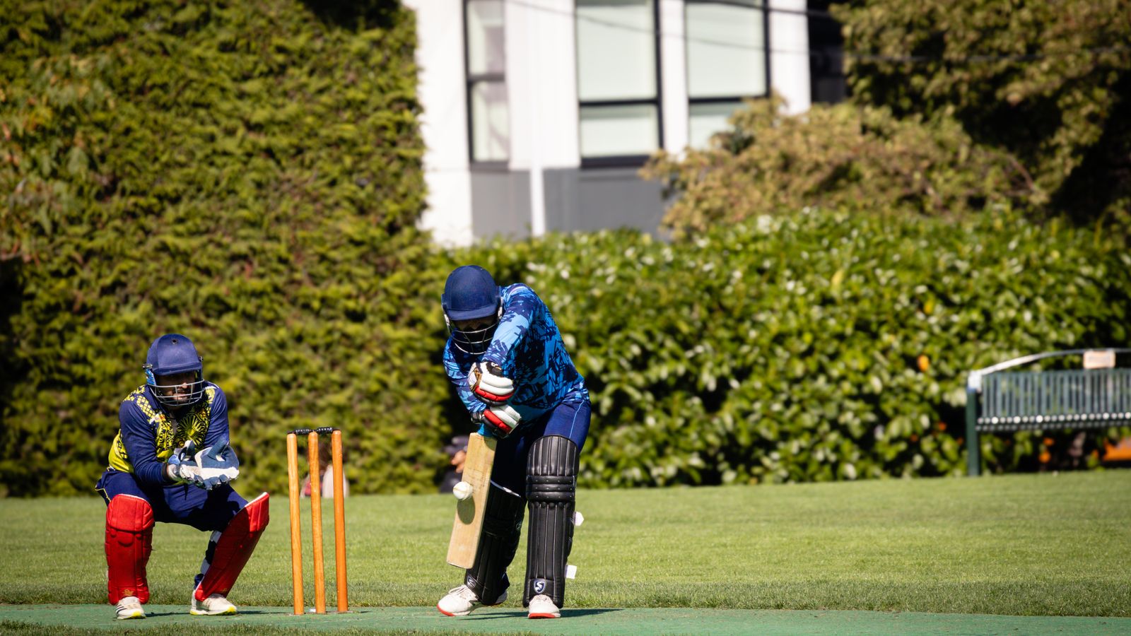 Indoor Cricket League