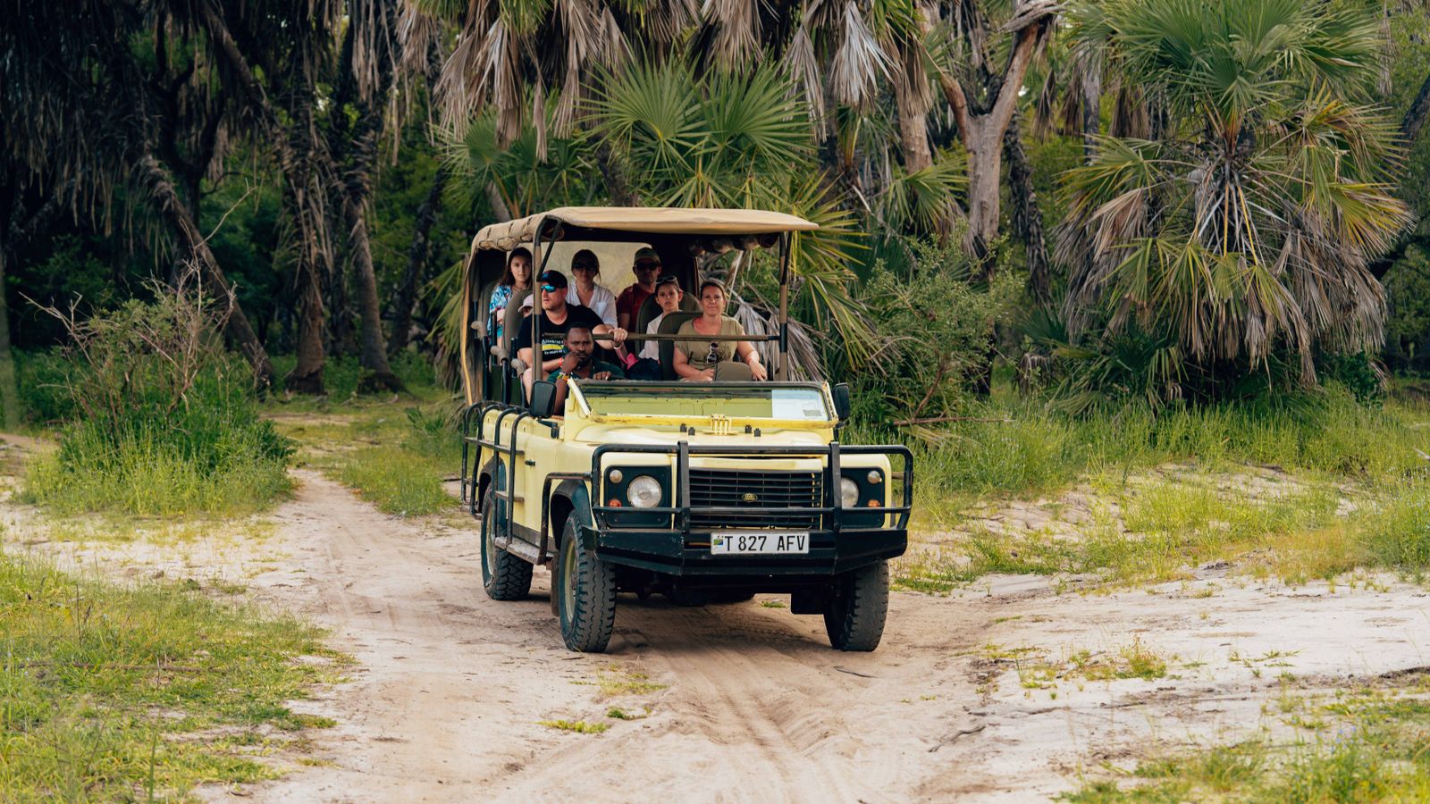 Jungle Safari Reward
