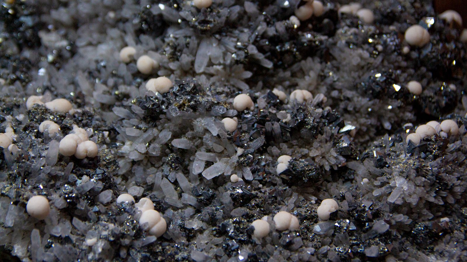 Mining & Minerals Expo