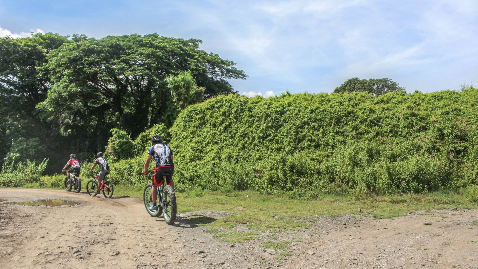 Mountain Biking Trail