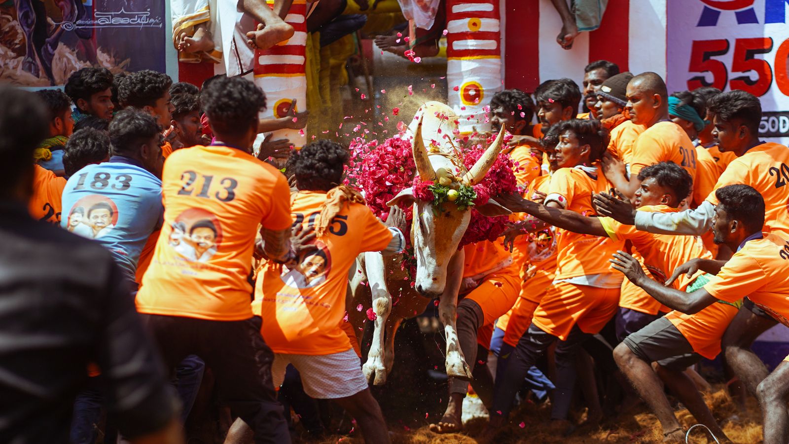Pongal & Sankranti Celebration