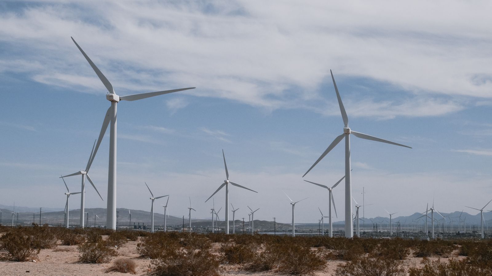 Renewable Energy Expo