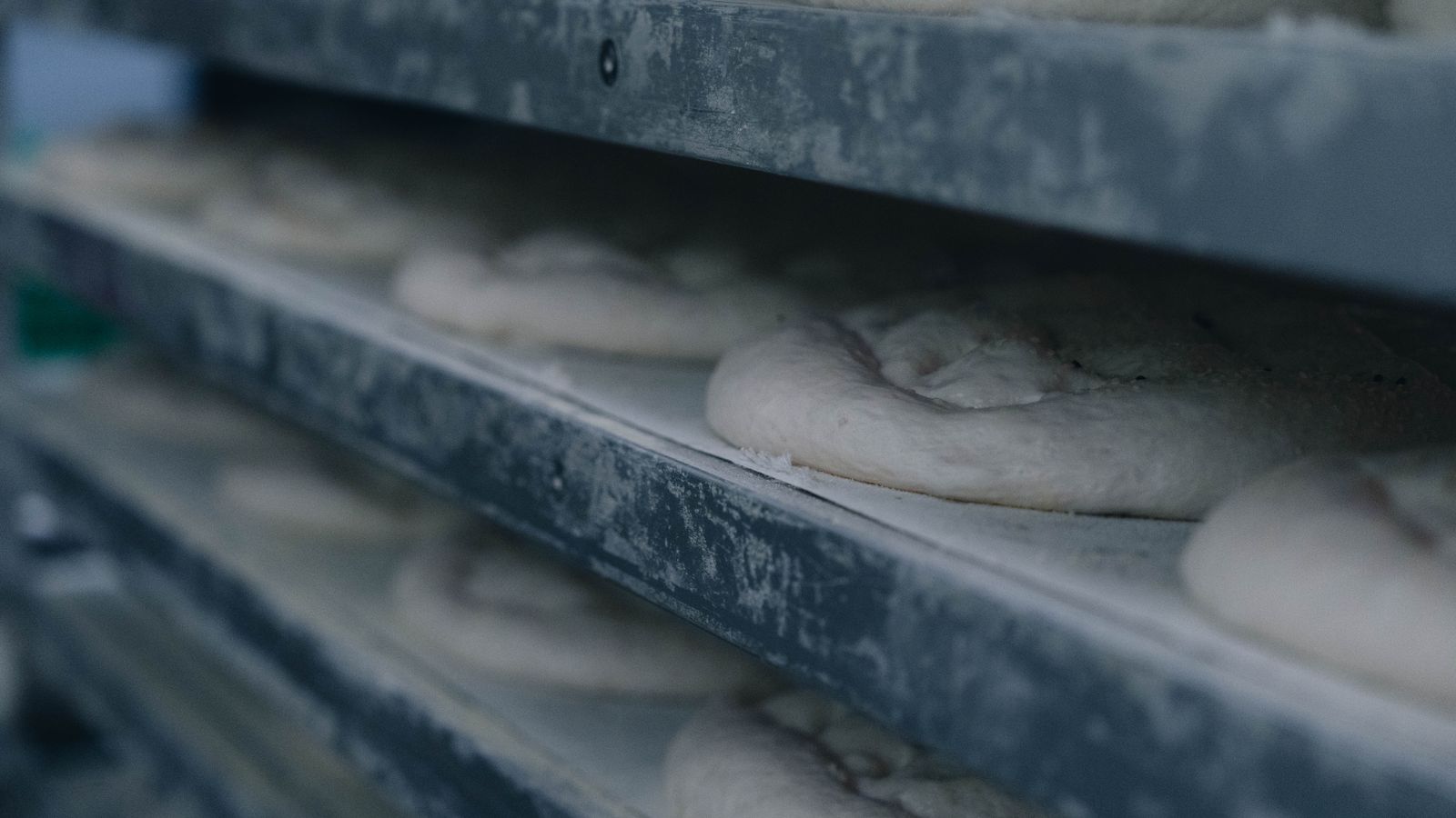 Sourdough Bread Workshop