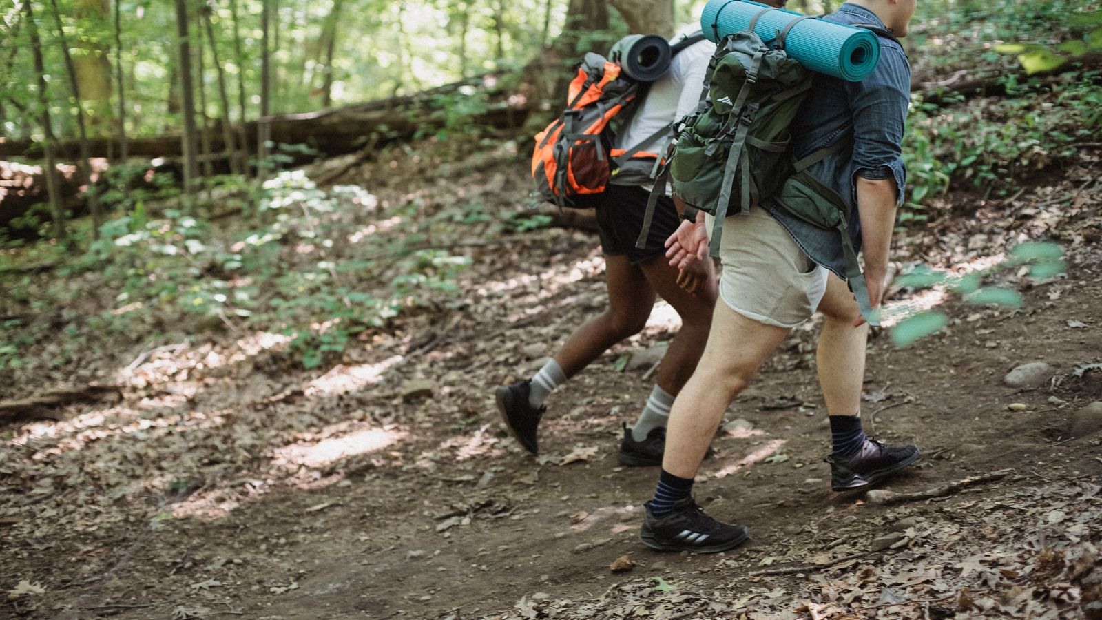 Trek & Trail