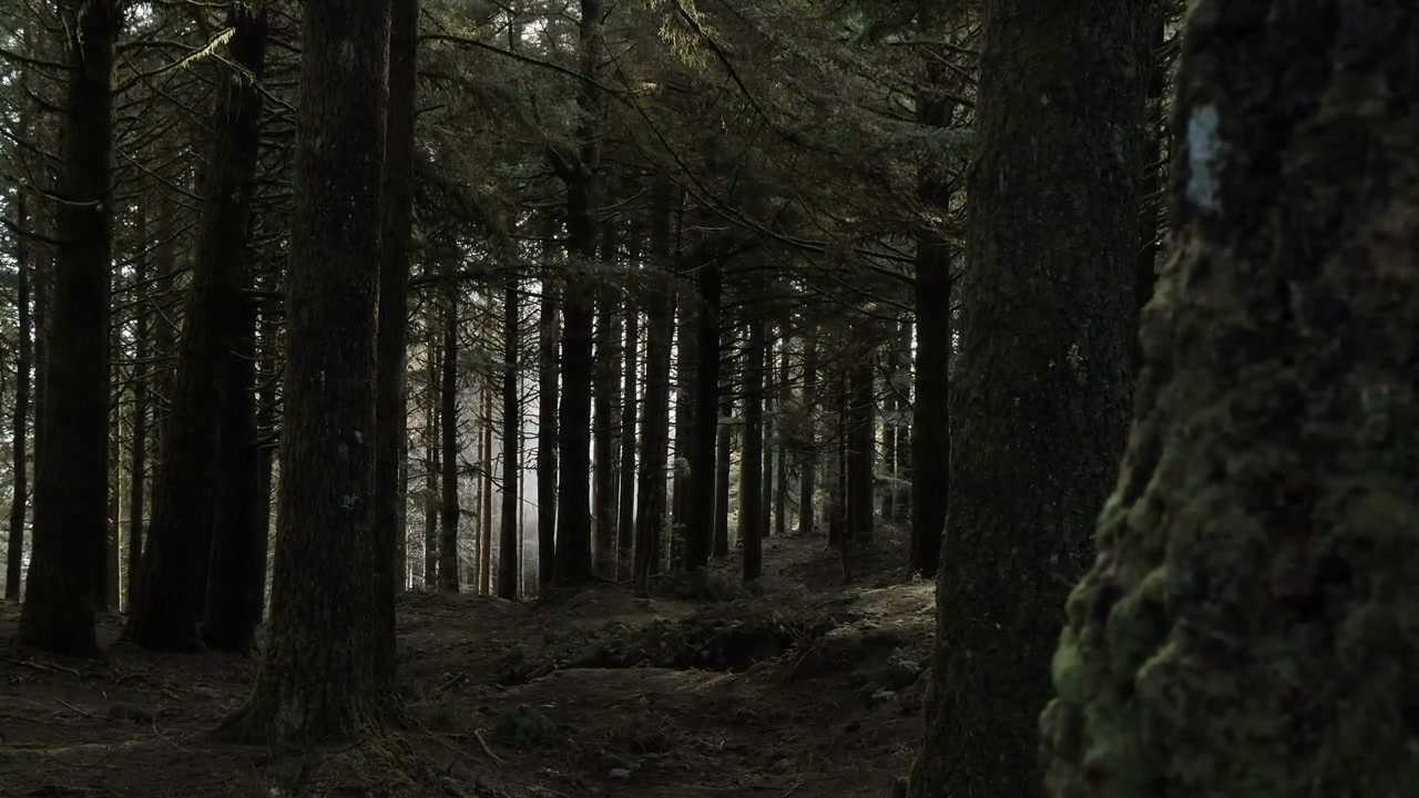World Environment Day - Small Actions, Big Impact
