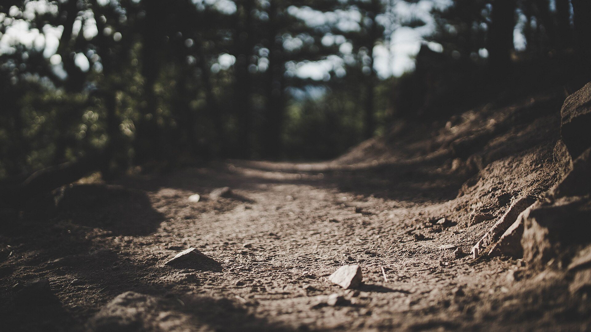 Personal Change Toolkit - Leading Yourself Through Change