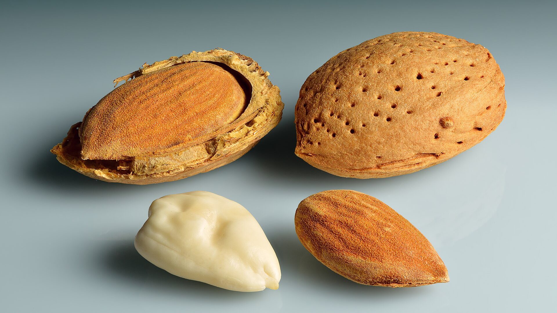 Protein Simplified - Meeting Your Protein Needs on Any Diet