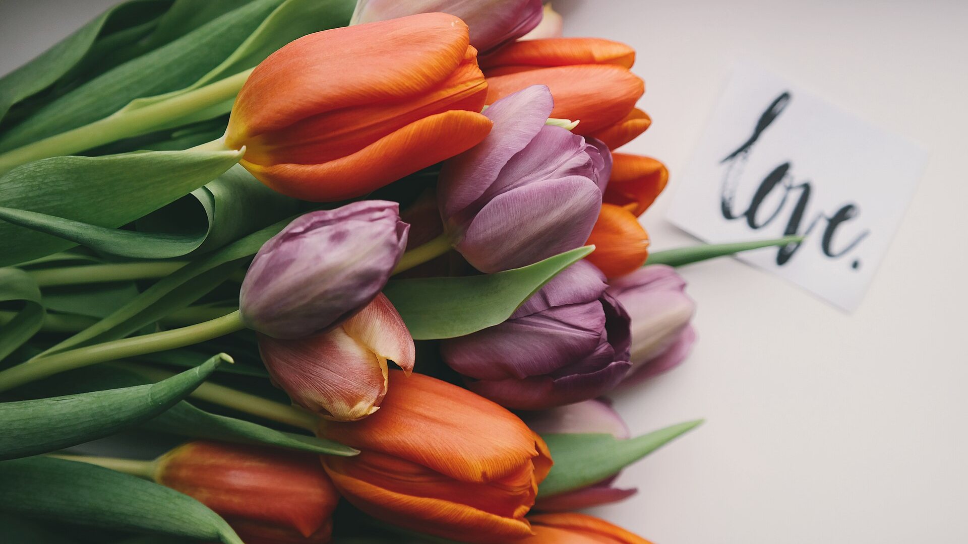 Women's Wellness Series - 4 Sessions Across Life Stages