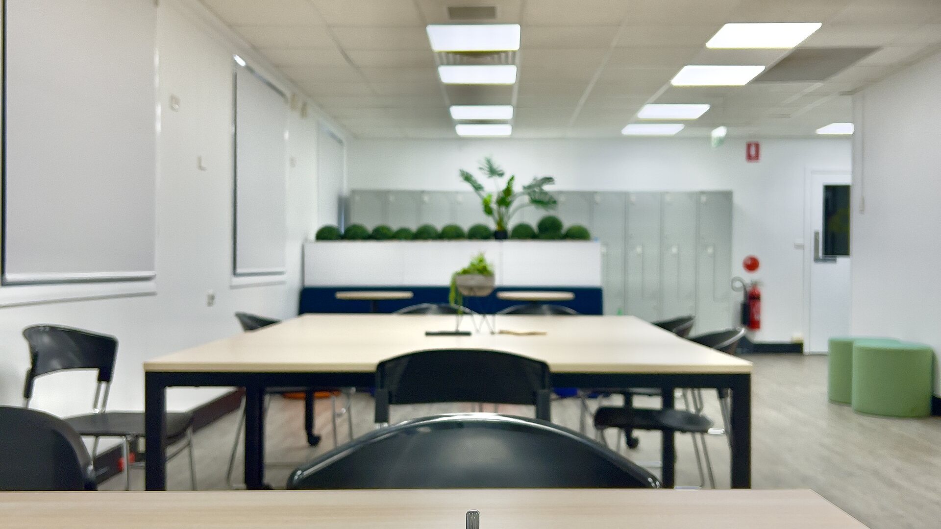 Team Energy - Shared Wellbeing Habits for High-Performing Teams