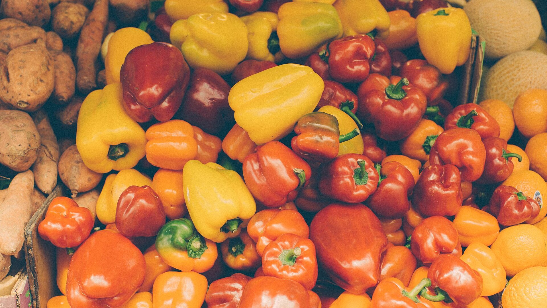 Diet Myths for Women - Busting Common Food Myths