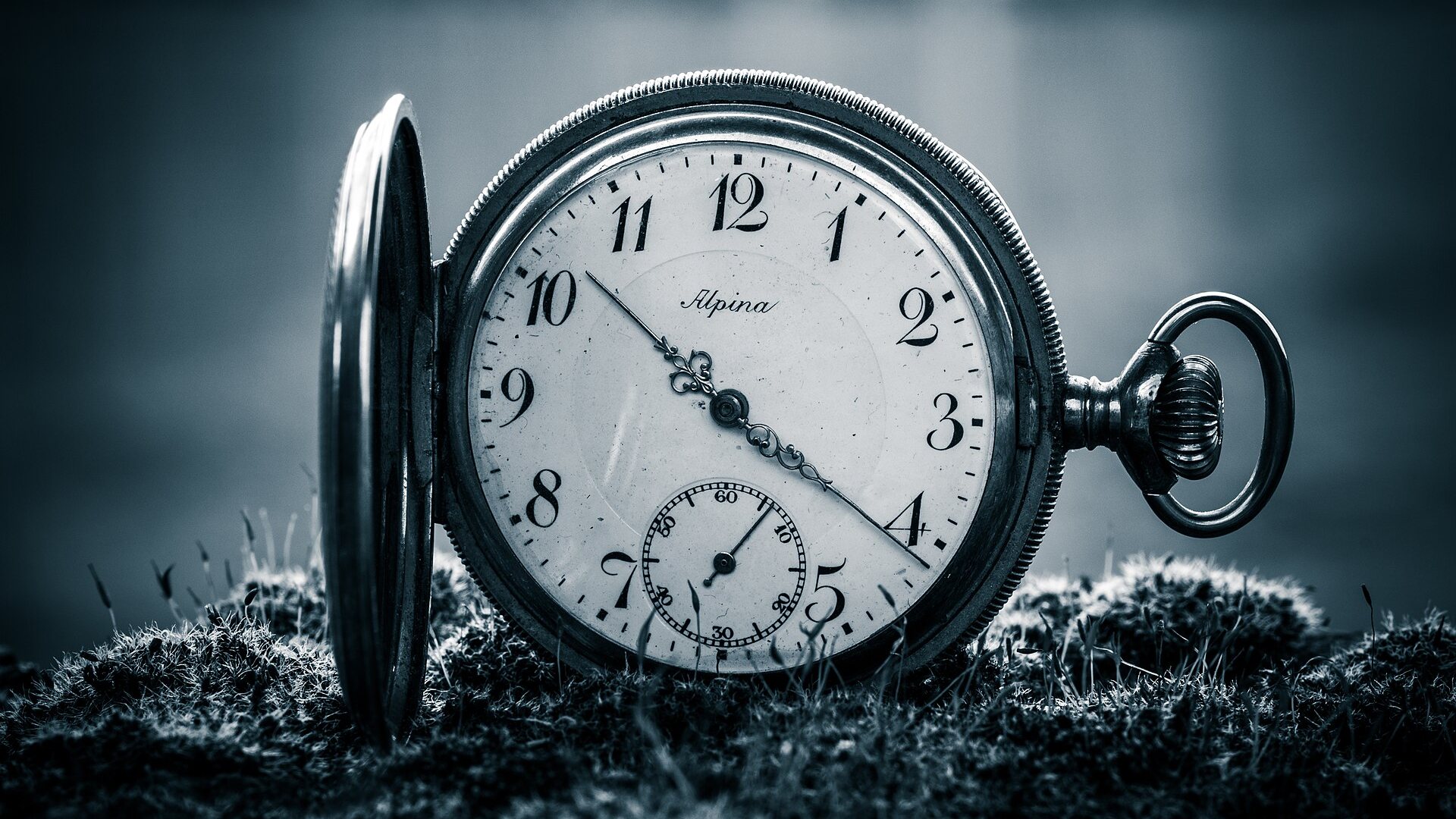 Peak Hours - Working With Your Energy Rhythm