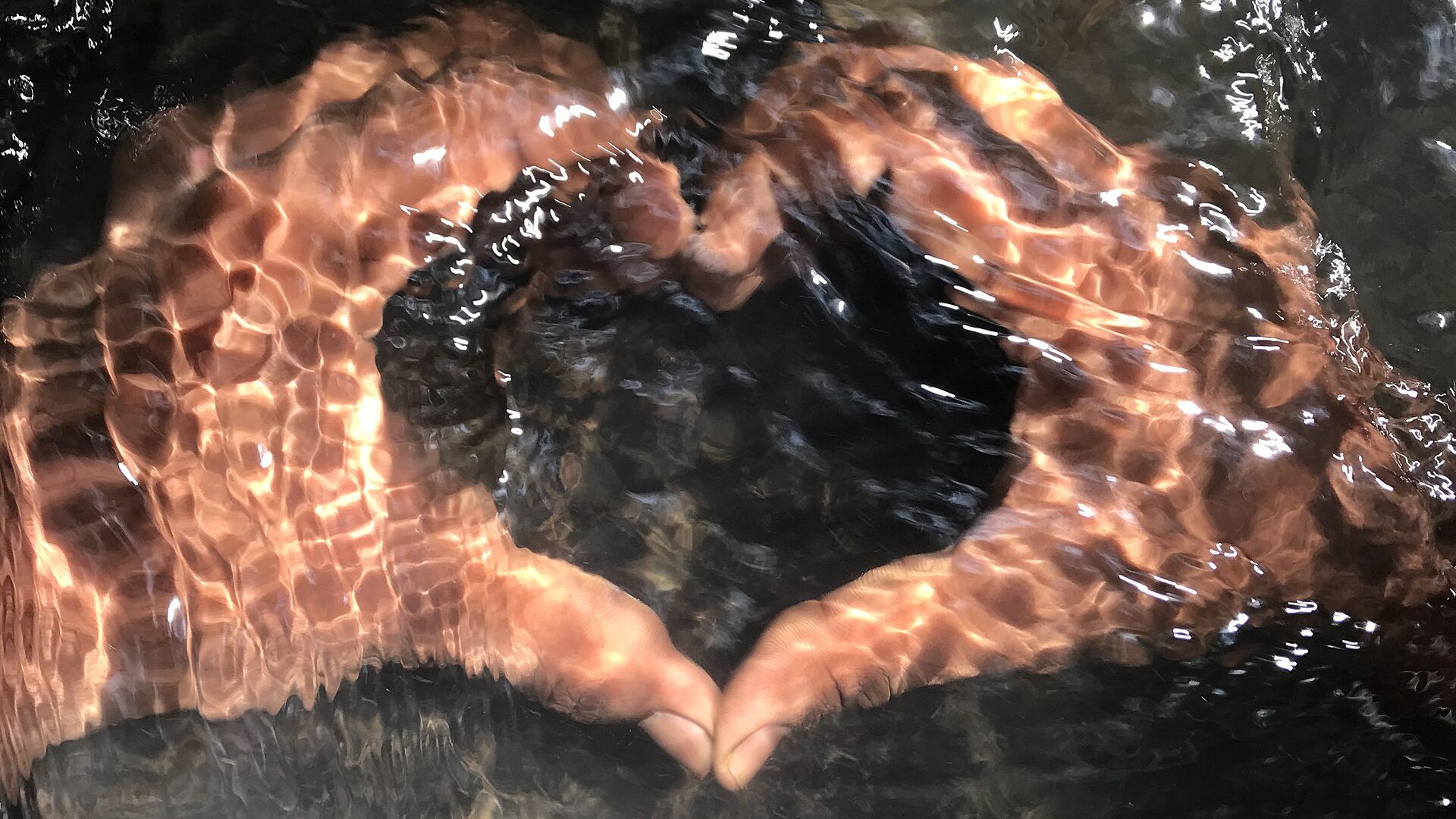 World Heart Day - Small Steps to a Healthier Heart