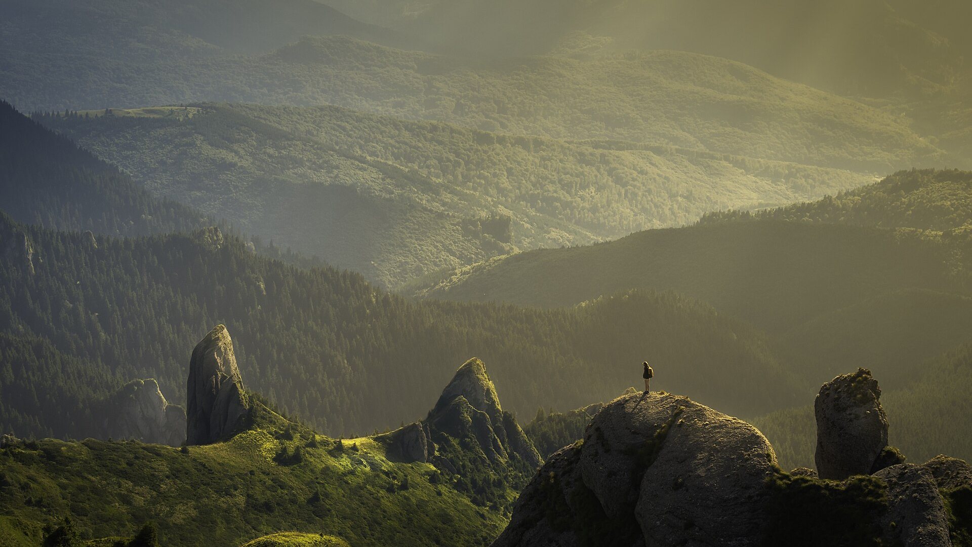 Green Time - The Wellbeing Benefits of Nature