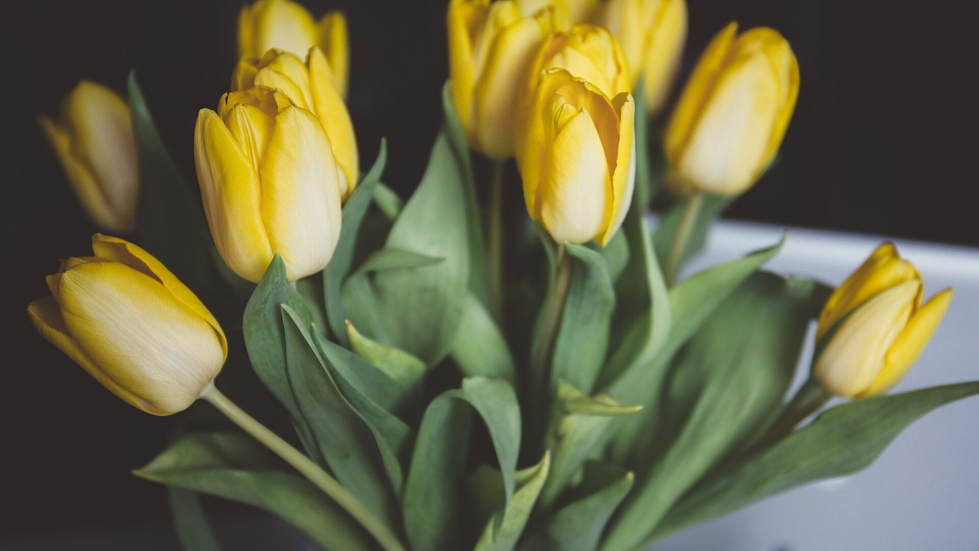 Women's Day Wellness - Celebrating Women's Health
